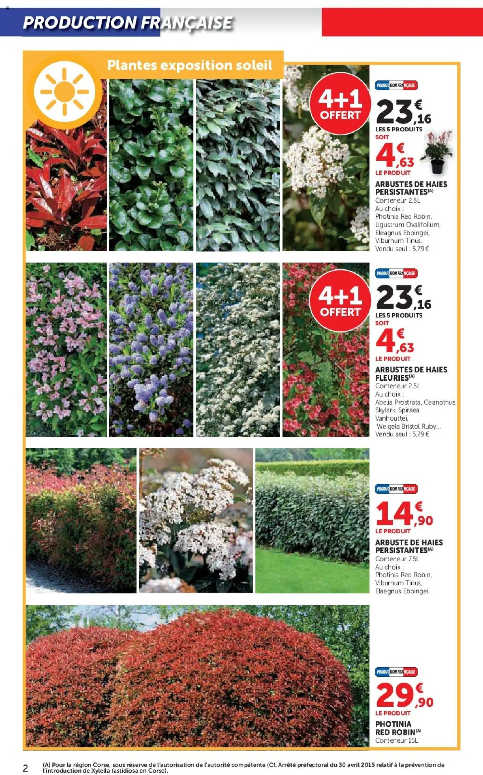 {H1} | Page: 2 | Produits: Plantes