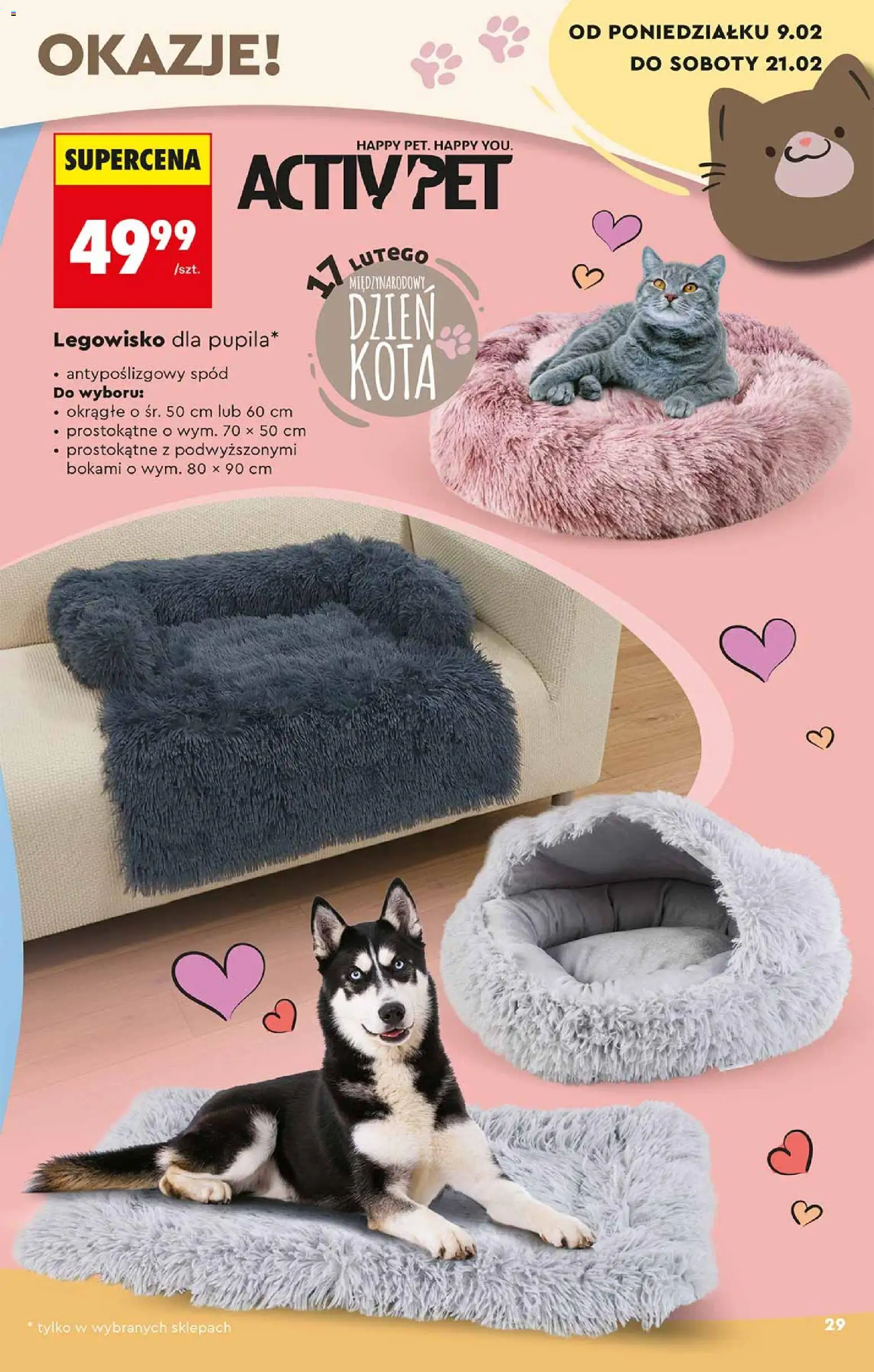 Biedronka gazetka - Hity i inspiracje od 07.02.2026 | Strona: 29