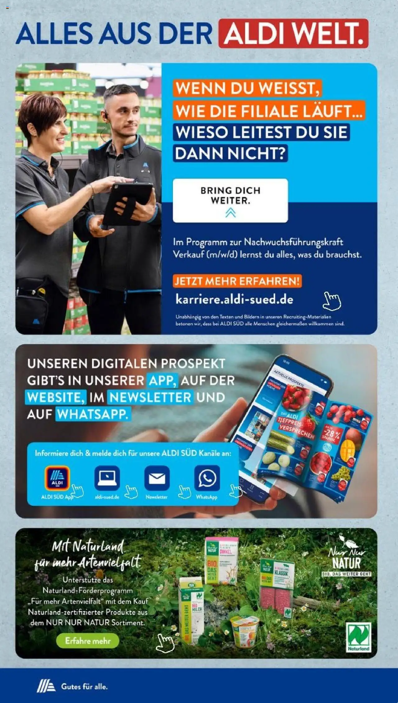 Aldi Süd Prospekt 	 – gültig ab 27.10.2025 | Seite: 31 | Produkte: Milch