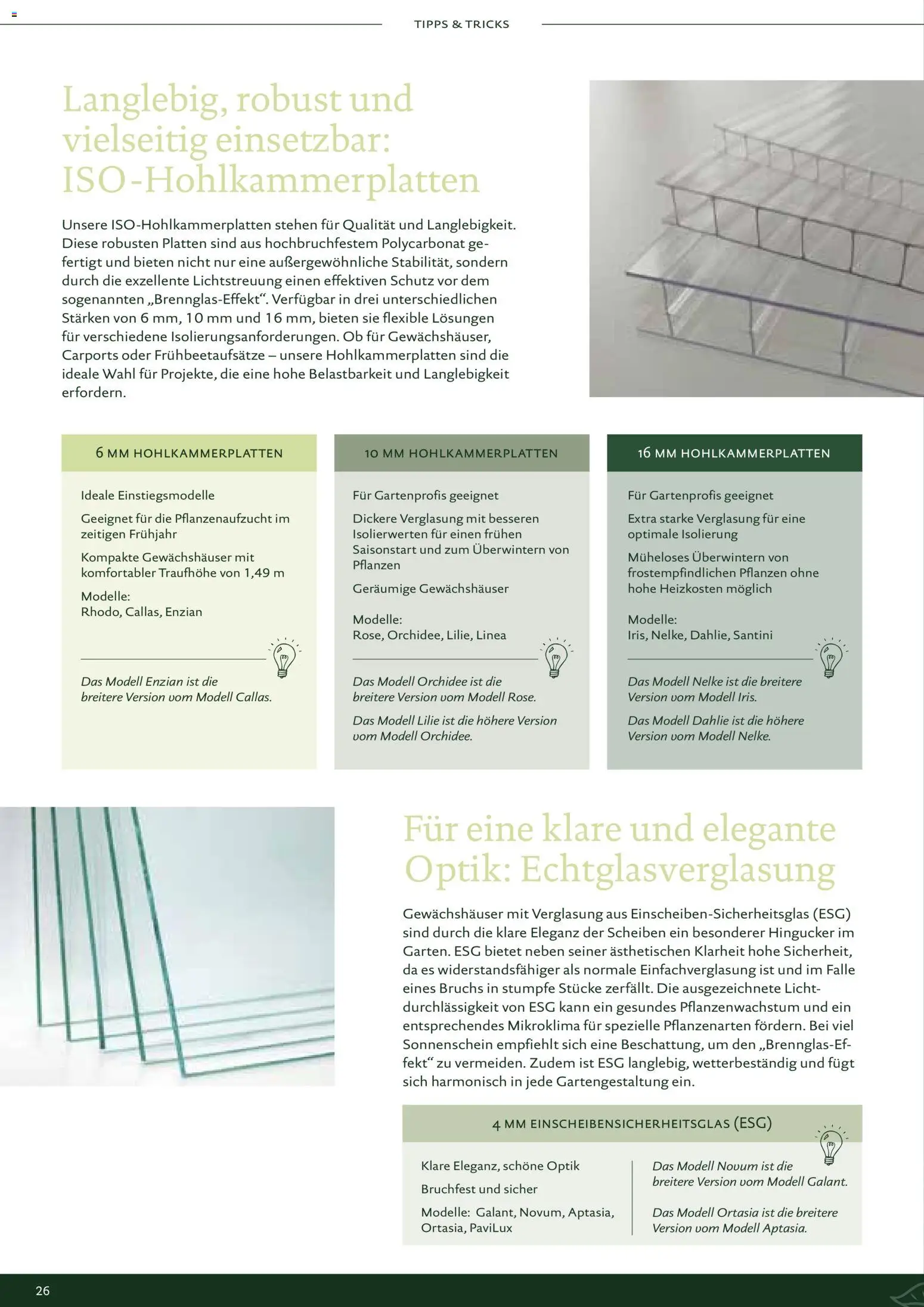 Dehner KGT – Kreative Gartentechnik – gültig ab 01.01.2026 | Seite: 26 | Produkte: Orchidee