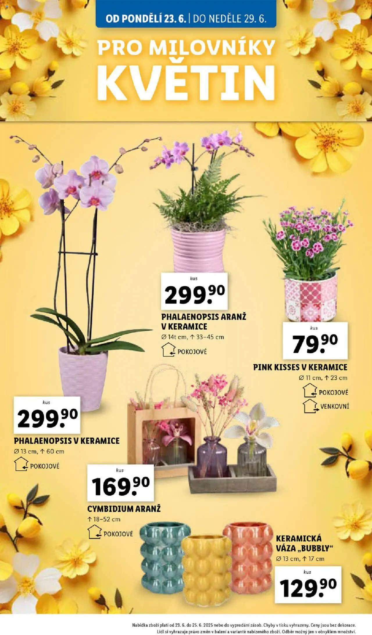 Lidl leták od 23.06.2025 | Strana: 32 | Produkty: Váza