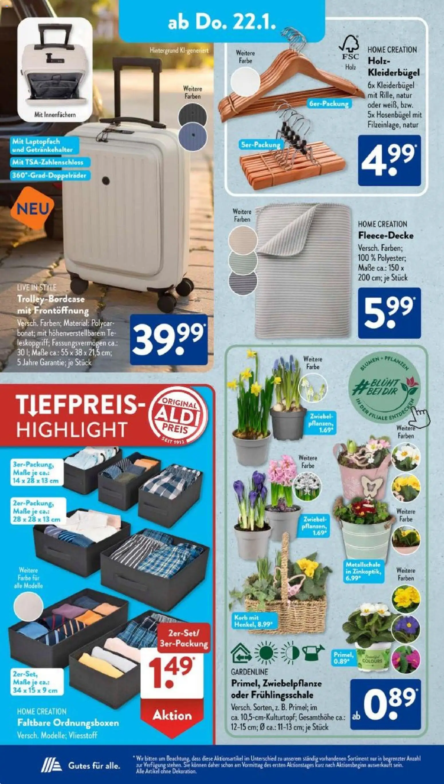 Aldi Süd Prospekt 	 – gültig ab 19.01.2026 | Seite: 22 | Produkte: Korb, Blumen, Kleiderbügel, Home creation