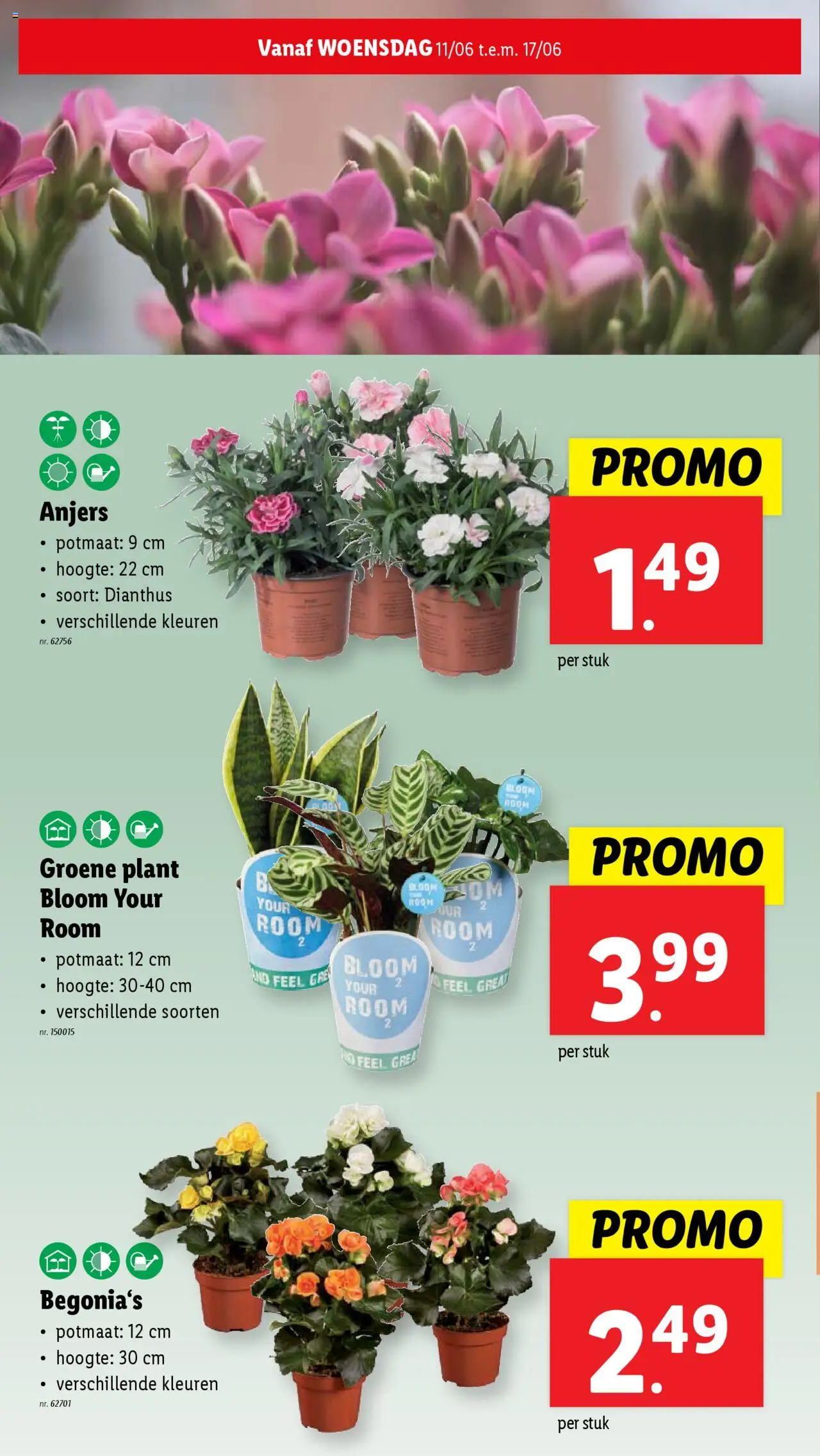  | Pagina: 28 | Producten: Room