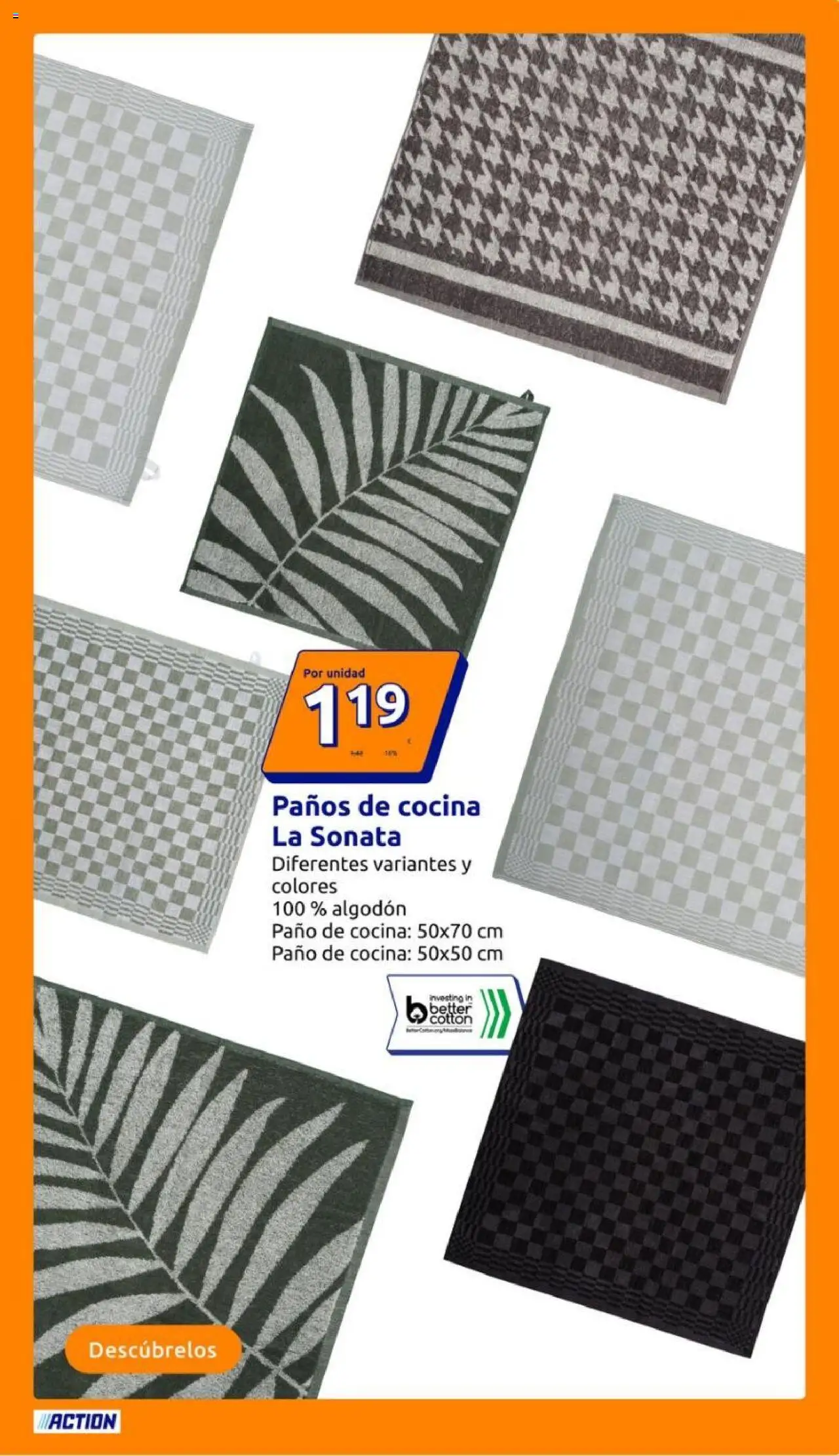 Action folleto │ válido desde el 20.08.2025 | Página: 13 | Productos: Cocina