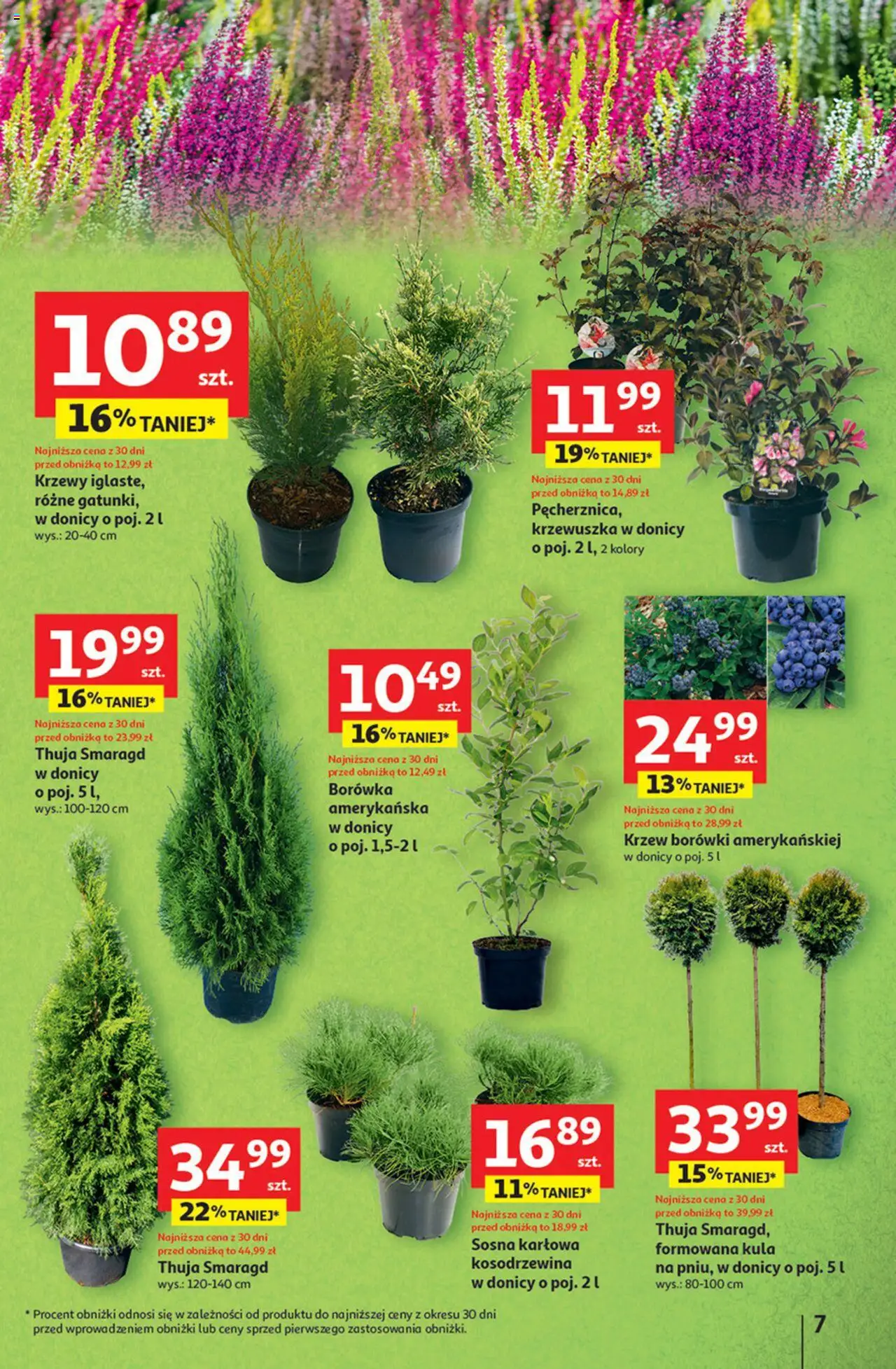 Auchan Gazetka - Pewność niskich cen Hipermarket od 11.09.2025 | Strona: 7