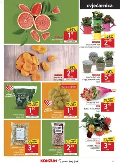 Katalog Konzum - Pregled kataloga iz trgovine Konzum, vrijedi od 28.01.2026 | Stranica: 17