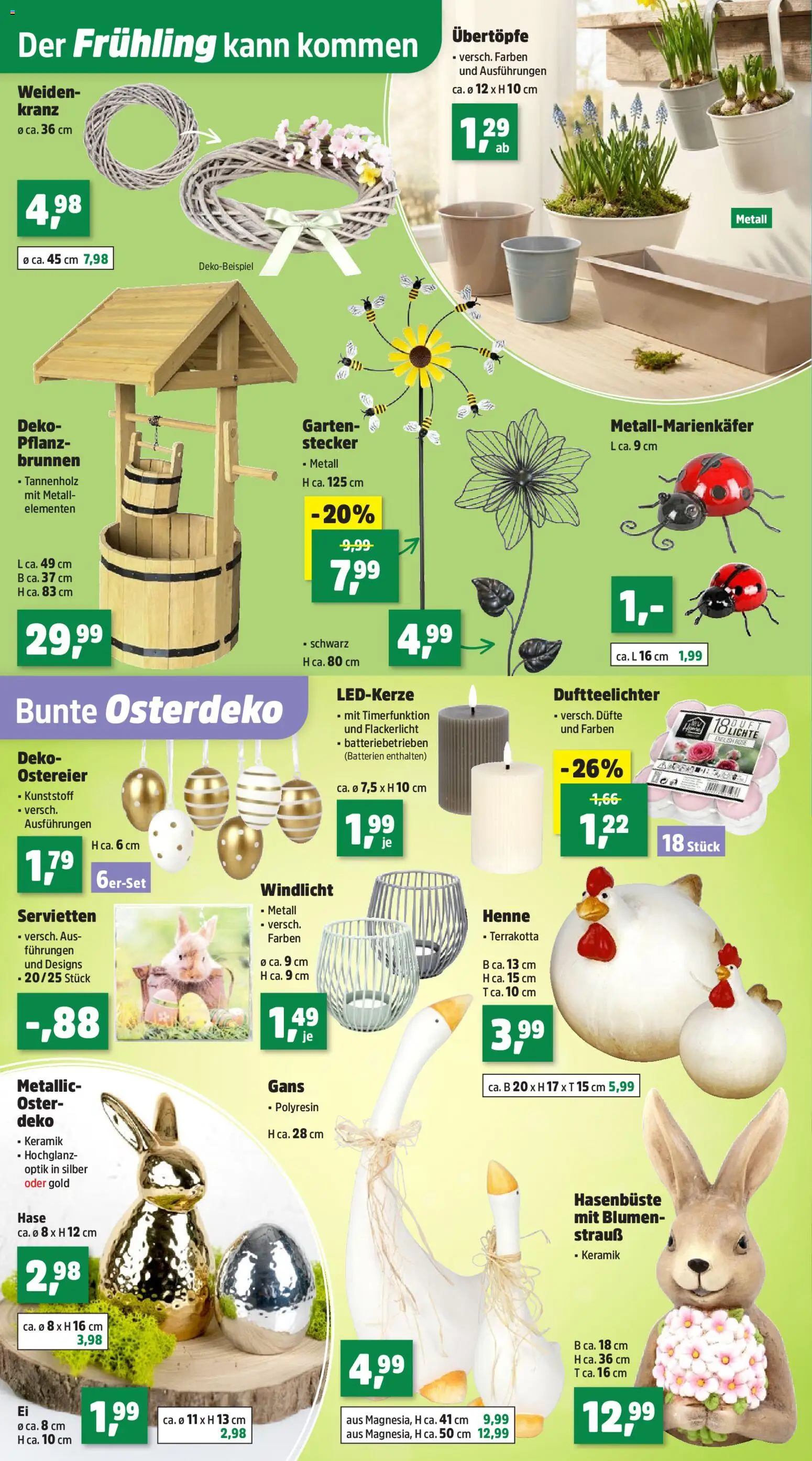 Thomas Philipps Prospekt 	 – gültig ab 16.03.2026 | Seite: 12 | Produkte: Batterien, Blumen