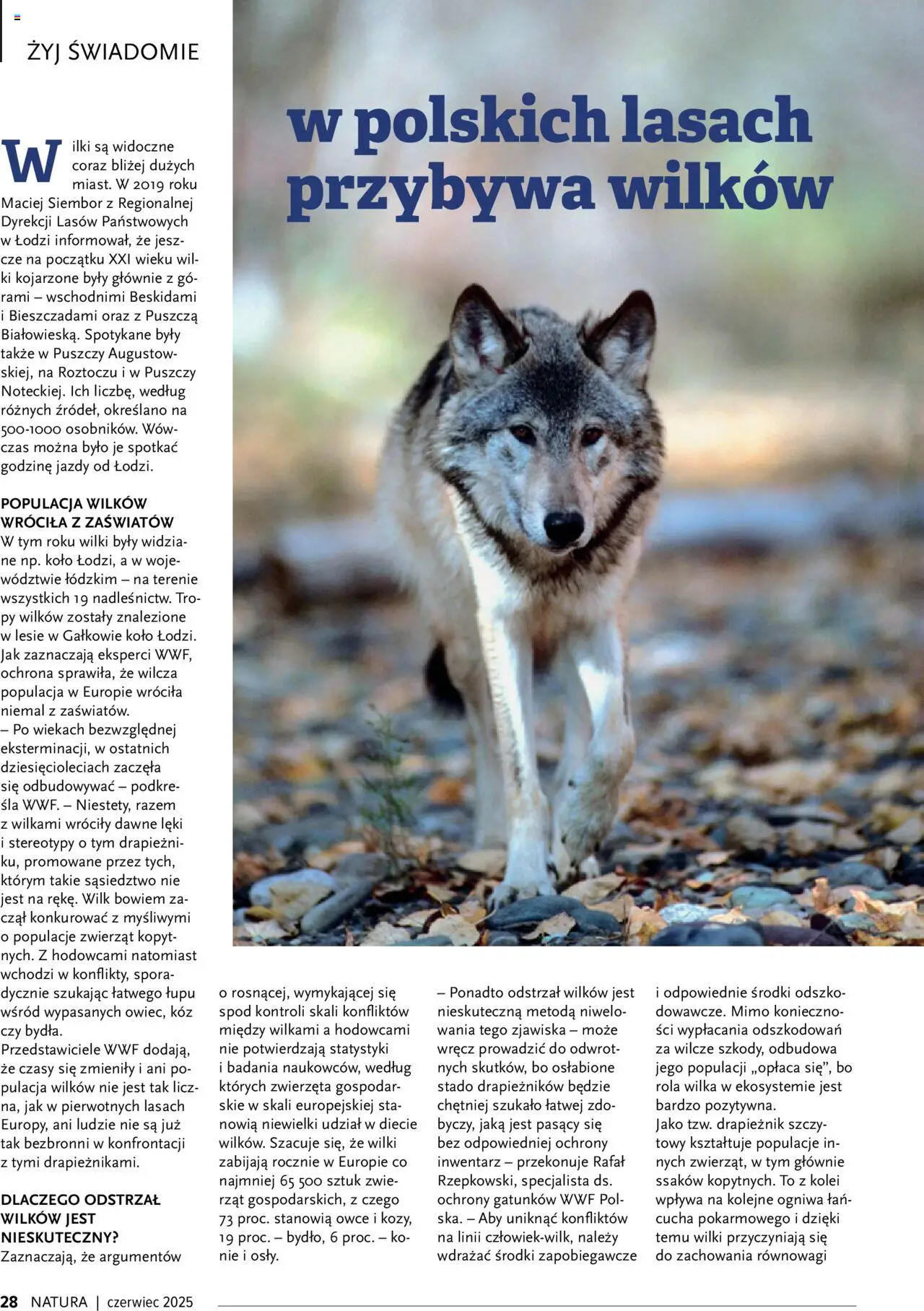 Drogerie Natura Gazetka - Magazyn Klubu Natura 06 od 01.06.2025 | Strona: 28