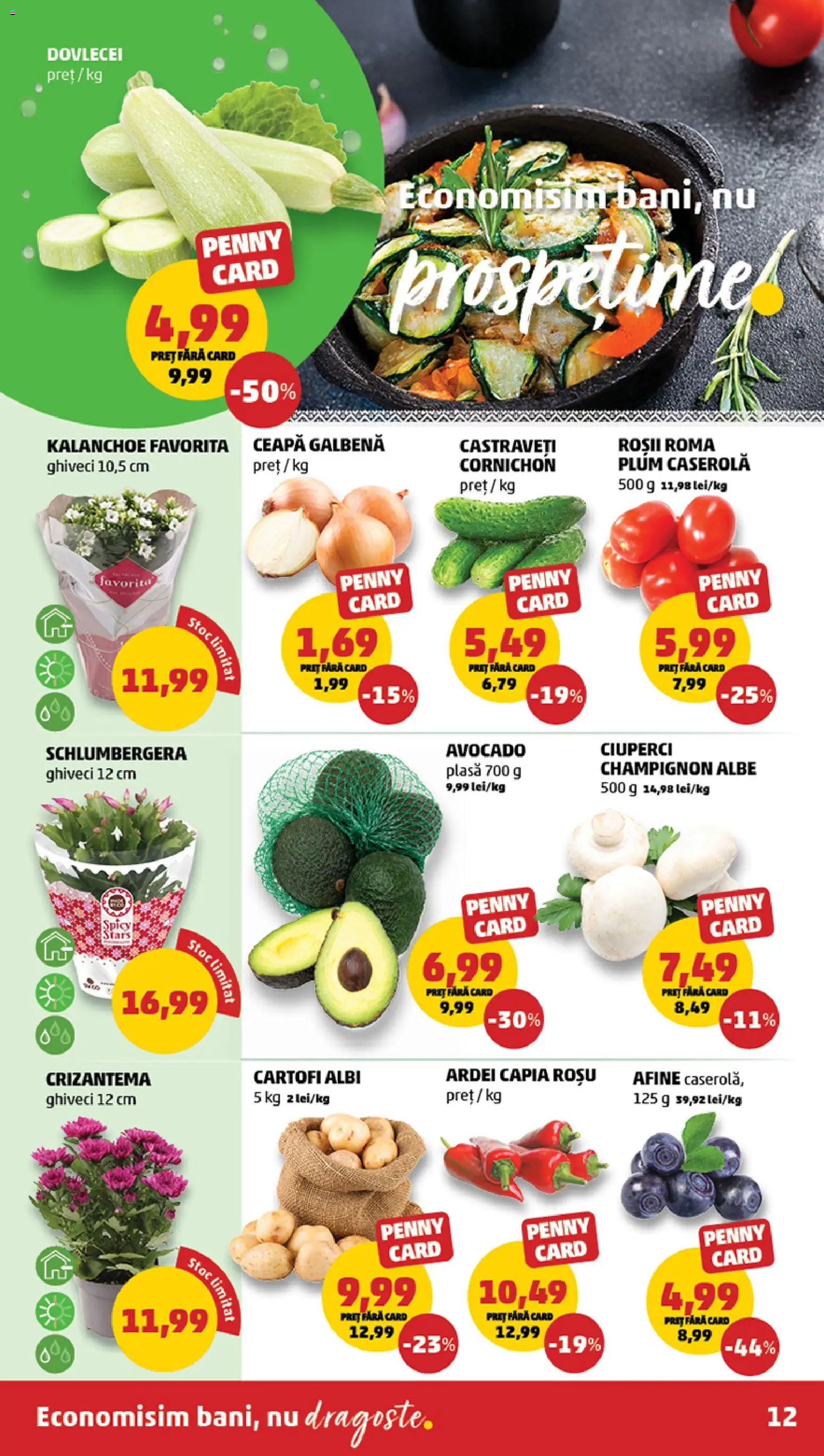 Noul catalog PENNY – valabil de la 26.11.2025 | Pagină: 12 | Produse: Konuşturucu Kuş Yemleri, Roșii, Castraveți, Cartofi