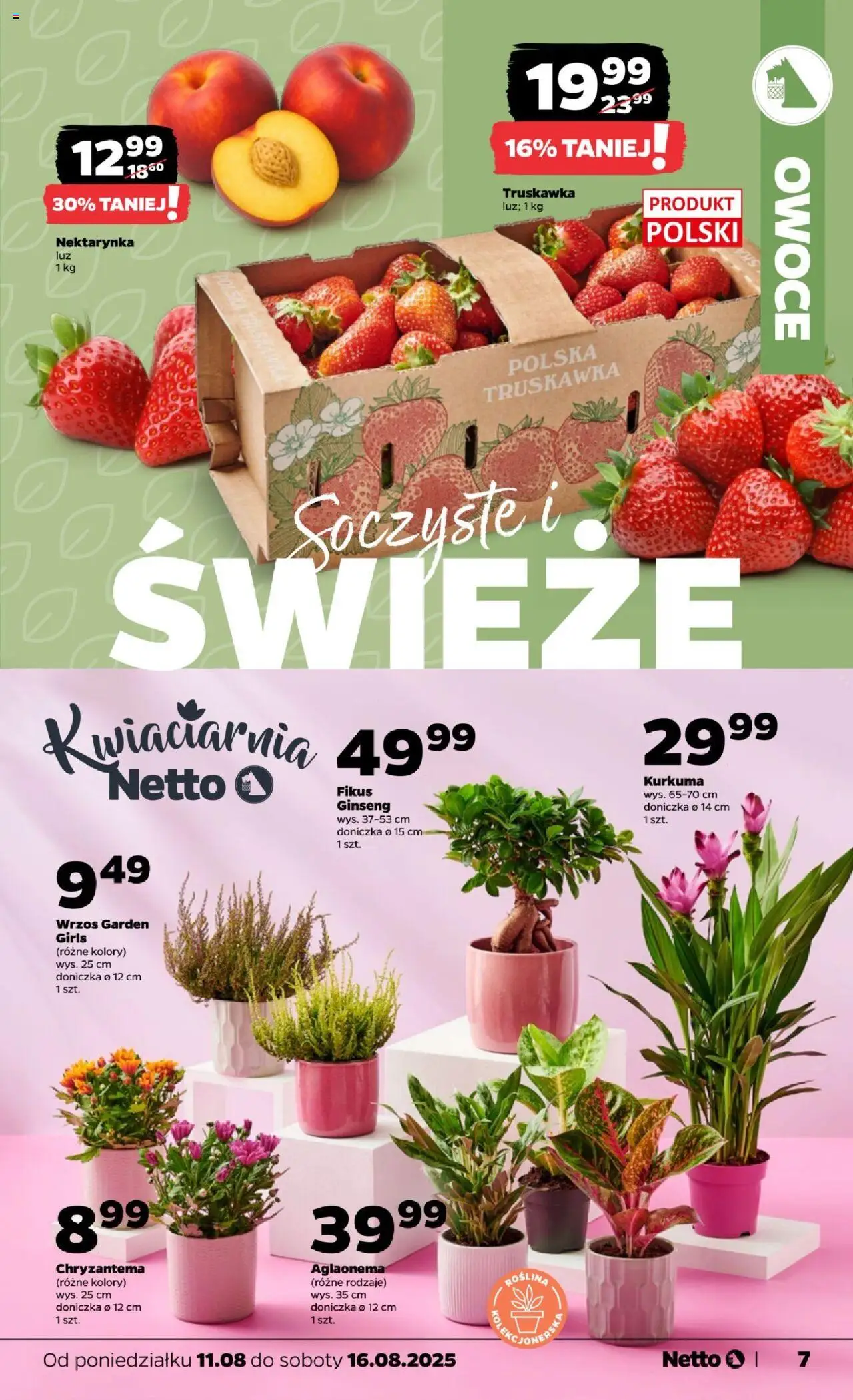 Netto gazetka - Spożywcza od 11.08.2025 | Strona: 7 | Produkty: Nektarynka, Wrzos, Owoce, Fikus