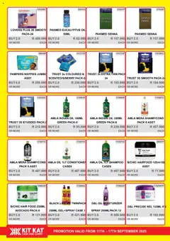 New KIT KAT Cash & Carry catalogue – valid from 11.09.2025 | Page: 16 | Products: Case, Oil, Shampoo, Conditioner