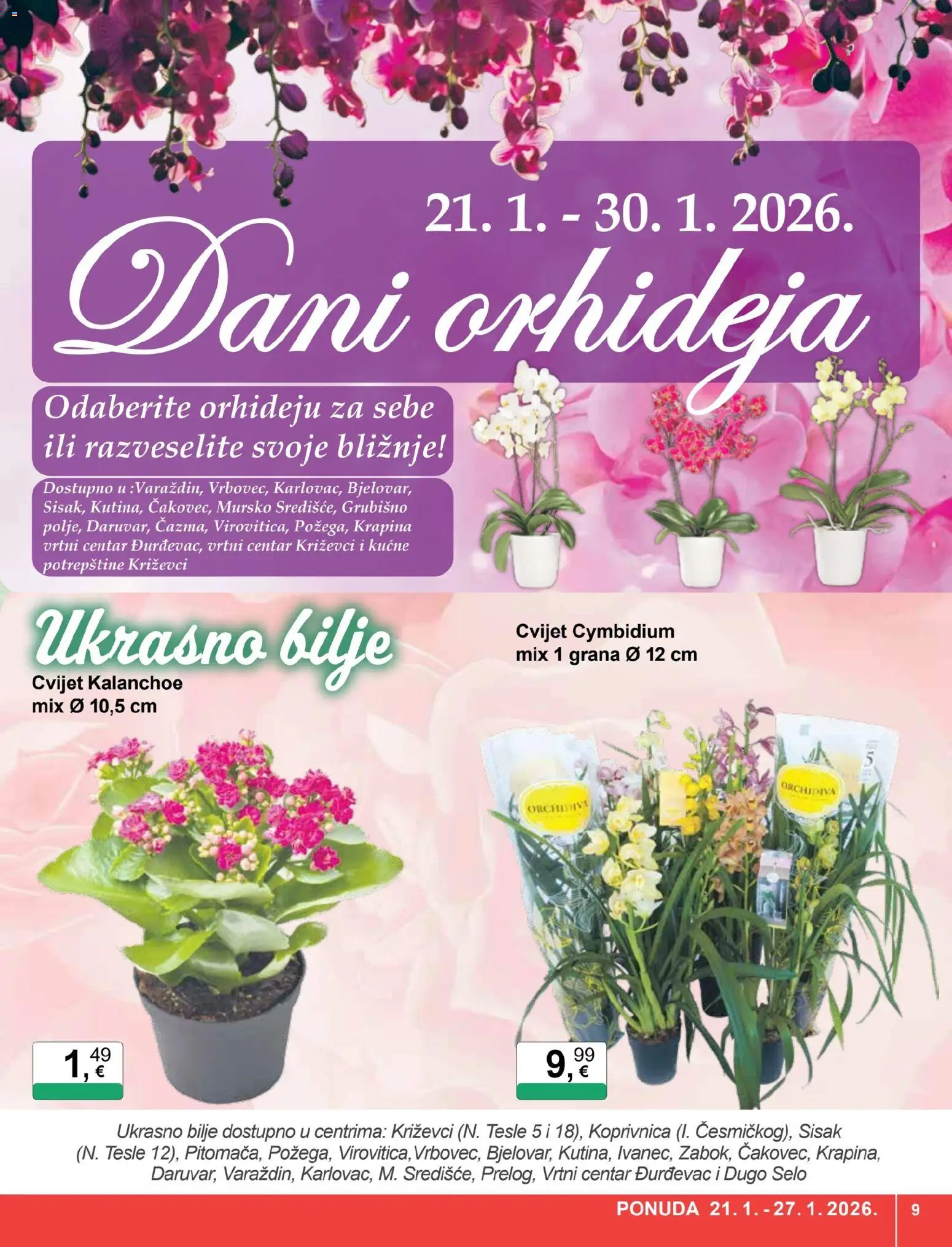 KTC katalog | vrijedi od 21.01.2026 | Stranica: 9 | Proizvodi: Orhideja