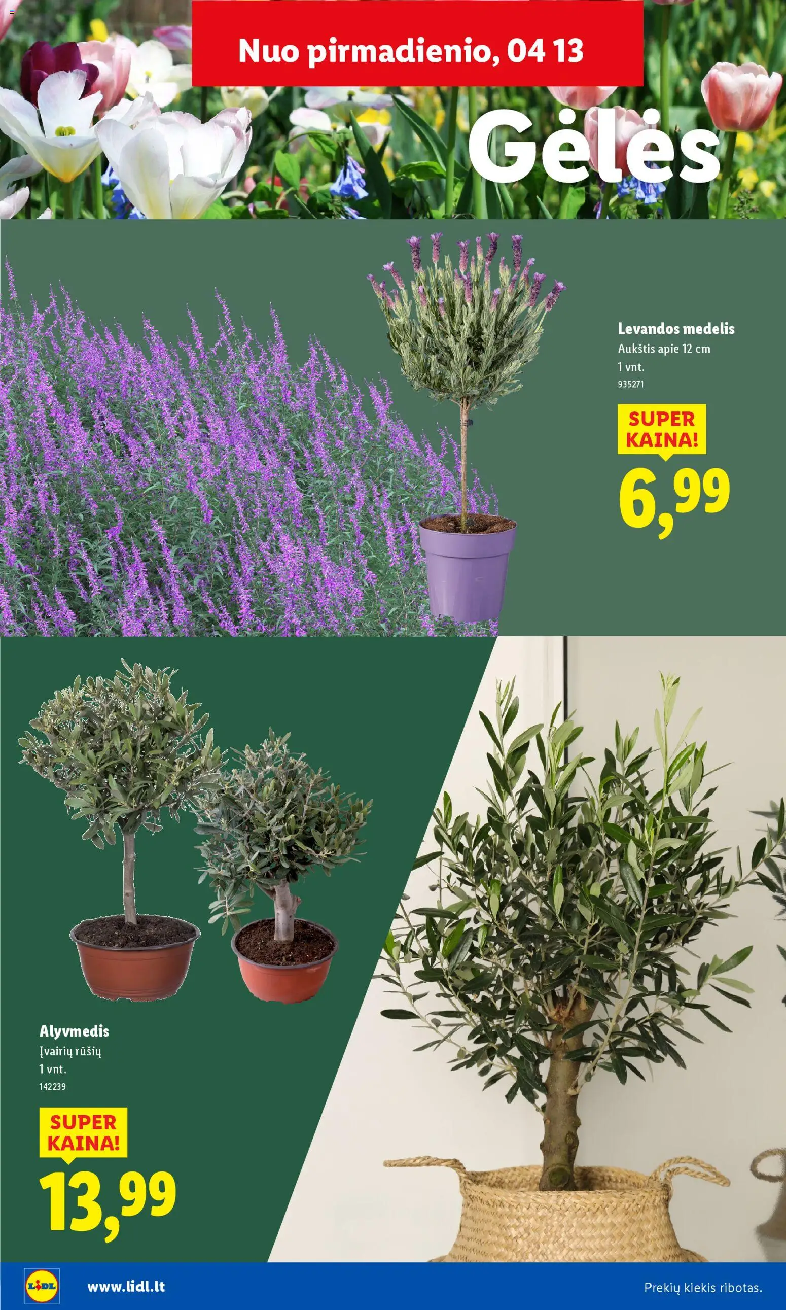 LIDL akcijos nuo 30.03.2026 | Puslapis: 22