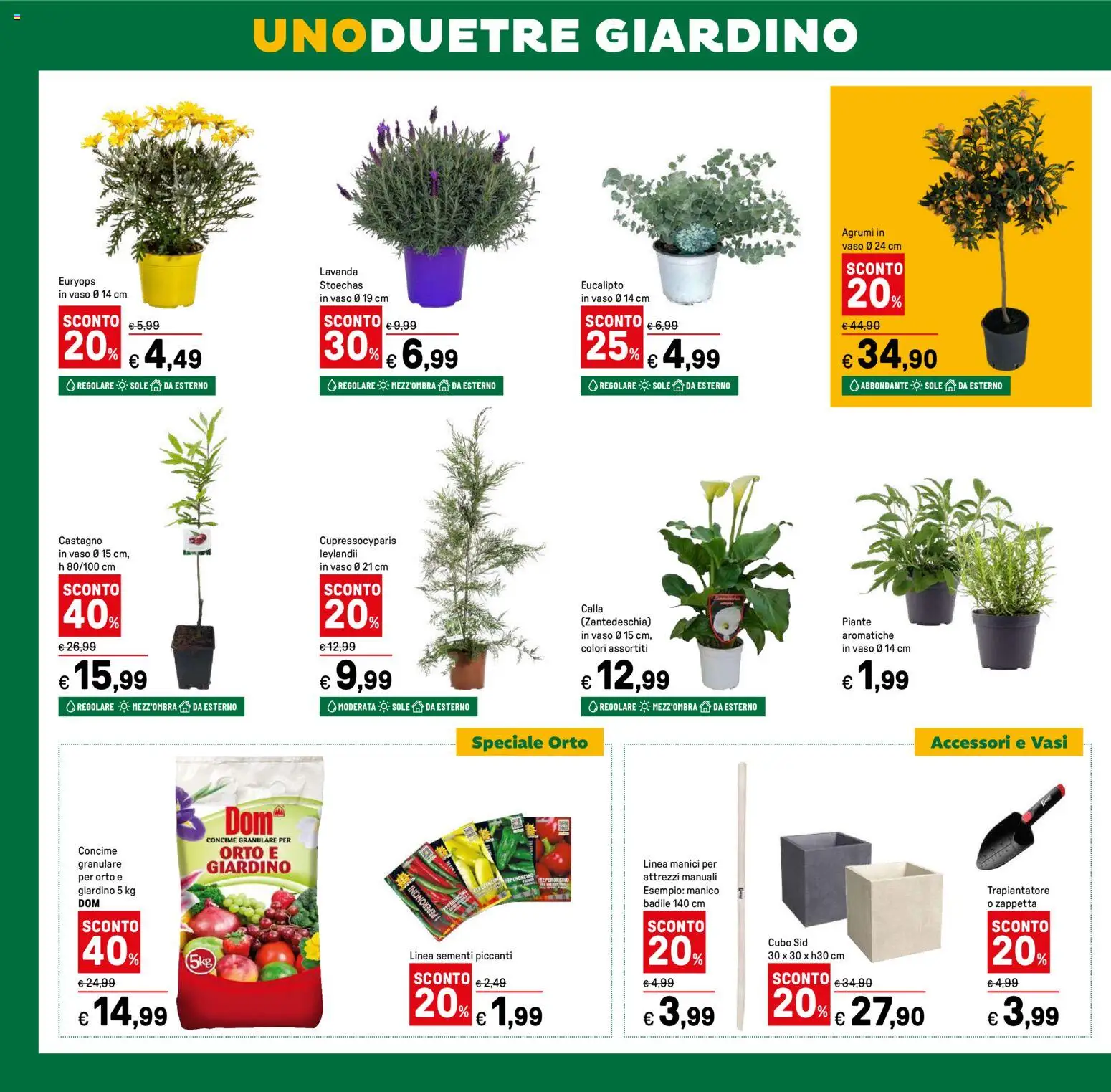 Volantino Iper del 12.02.2026 | Pagina: 46 | Prodotti: Concime, Agrumi, Lavanda, Vaso