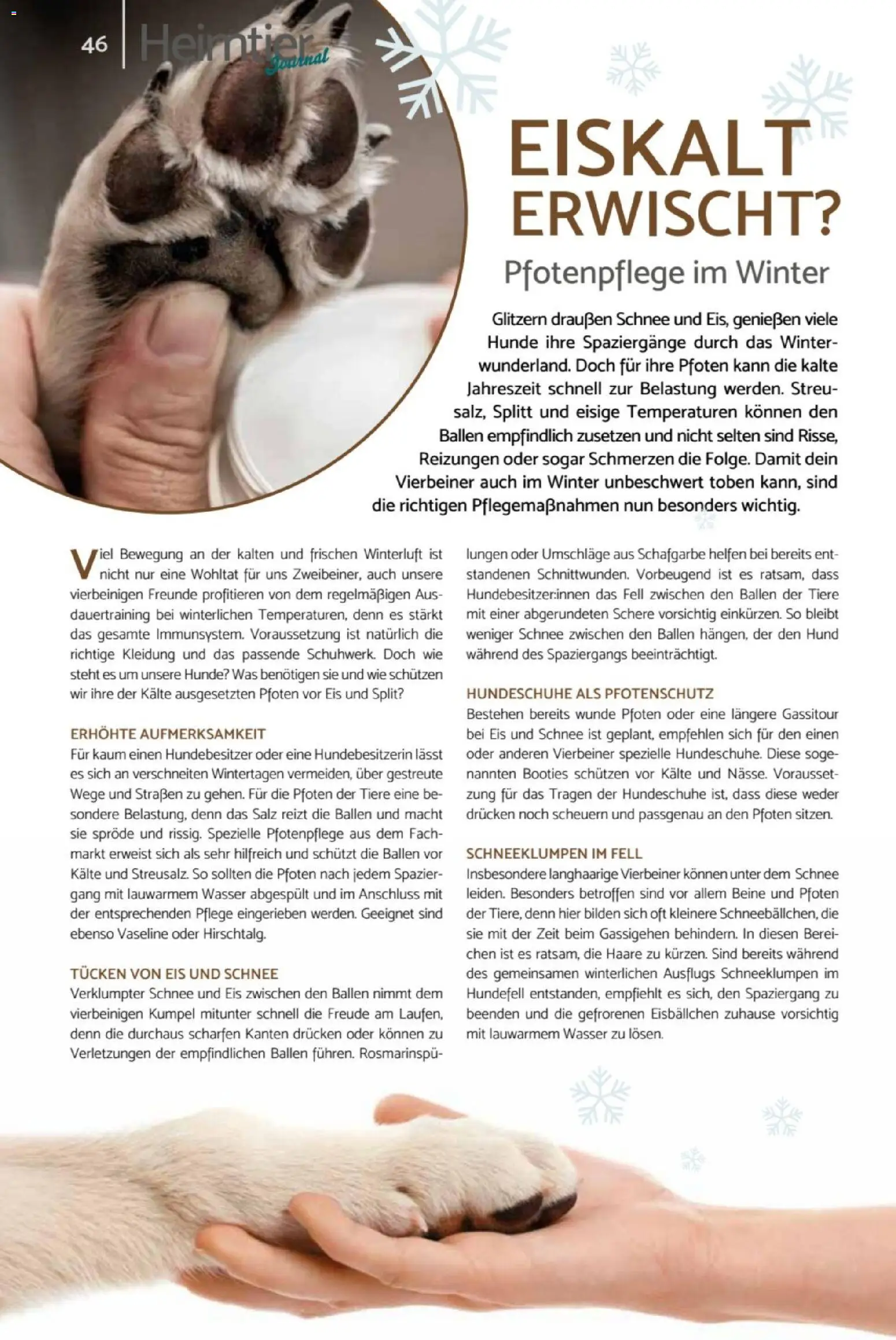 zookauf  Heimtier Journal – gültig ab 01.02.2026 | Seite: 46 | Produkte: Wasser, Salz, Eis