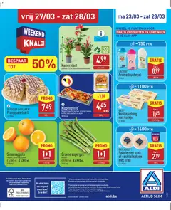 Aldi folder week 13 - Voorbeeld van een folder van Aldi, geldig van 23.03.2026 | Pagina: 32