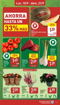 Tomate ensalada, Tomate ensalada. Origen: España. Categoría: I. A granel │ válido desde el 15.09.2025 | Página: 5