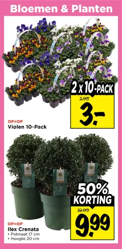 Vomar folder - Voorbeeld van een folder van Vomar, geldig van 15.03.2026 | Pagina: 31 | Producten: Bloemen