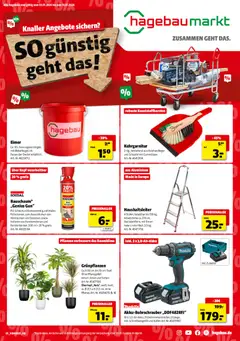 Hagebau Prospekt 	 ab 03.01.2026 gültig