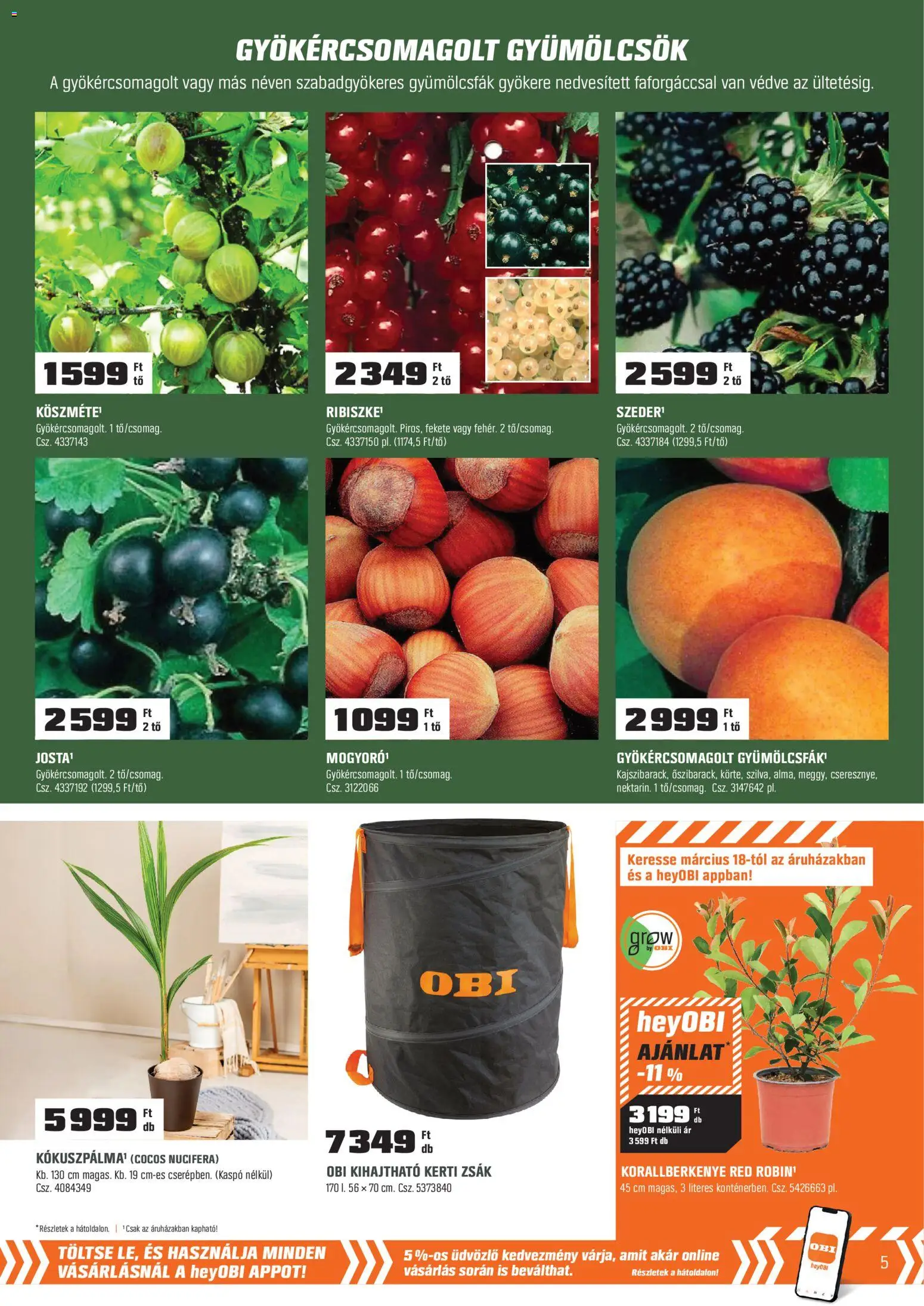OBI akciós ujság - amely érvényes a következő dátumtól: 03.03.2026 | Oldal: 5 | Termékek: Mogyoró, Szeder, Kaspó