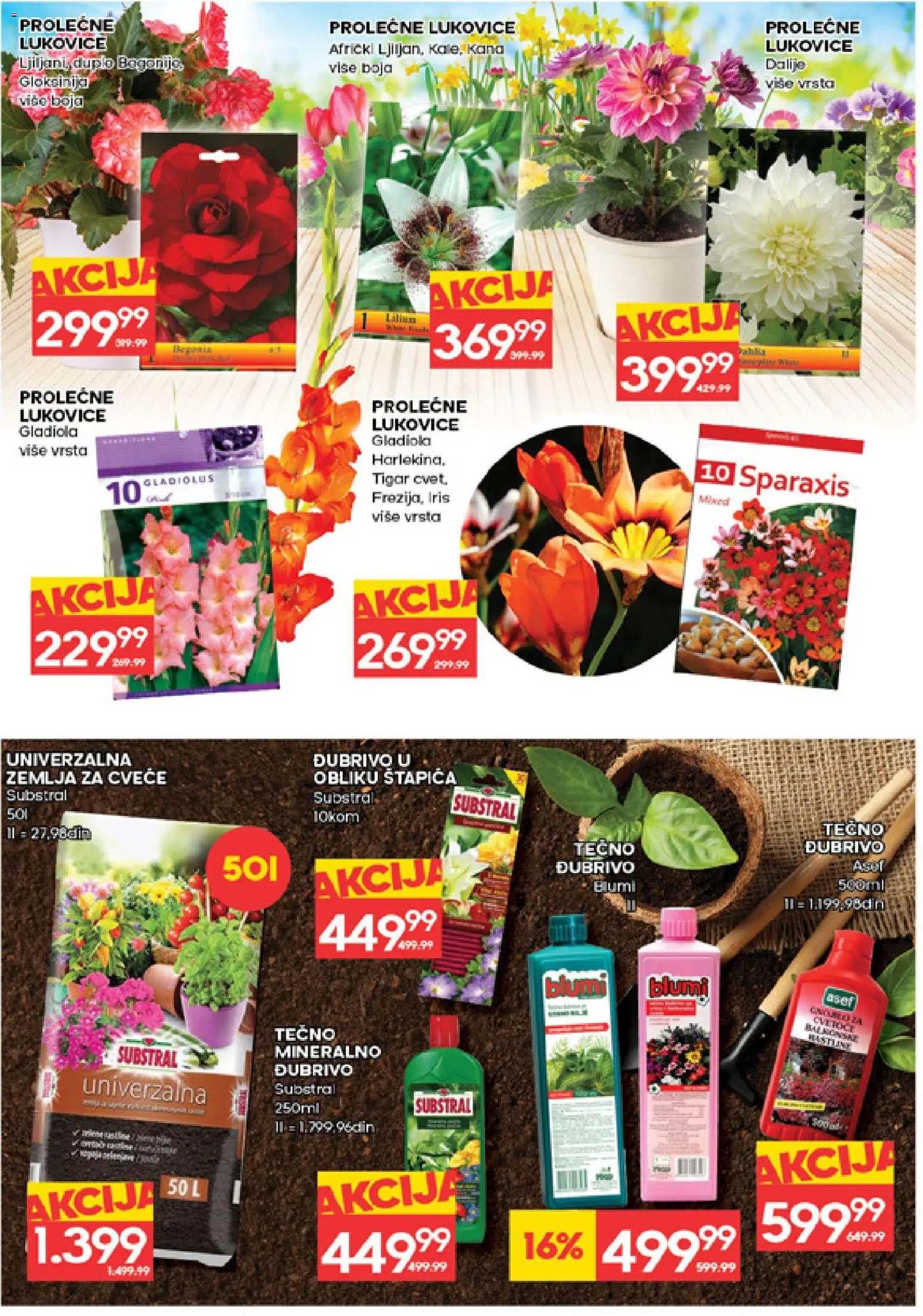 Idea katalog - važi od 12.03.2026 | Strana: 30 | Proizvode: Zemlja, Cvece