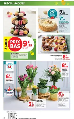 bi1 - Prévisualisation de bi1 catalogue valide à partir de 31.03.2026 | Page: 10 | Produits: Rosier, Plantes, Tulipes, Chocolat