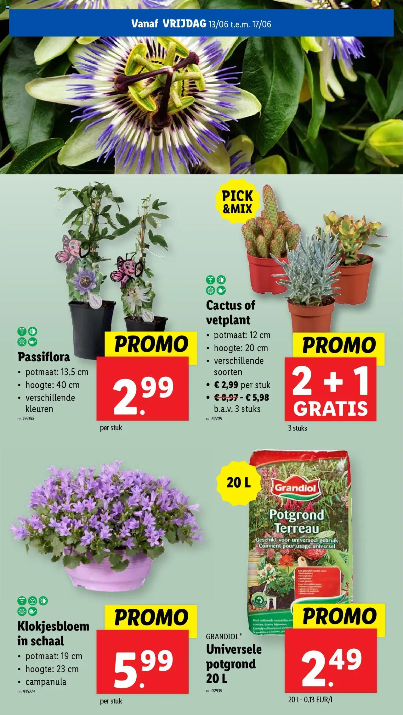  | Pagina: 54 | Producten: Schaal