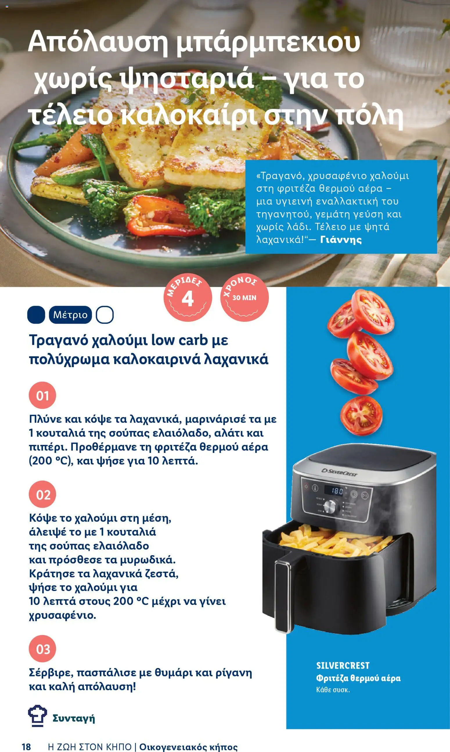  | Σελίδα: 18 | Προϊόντα: Φριτέζα