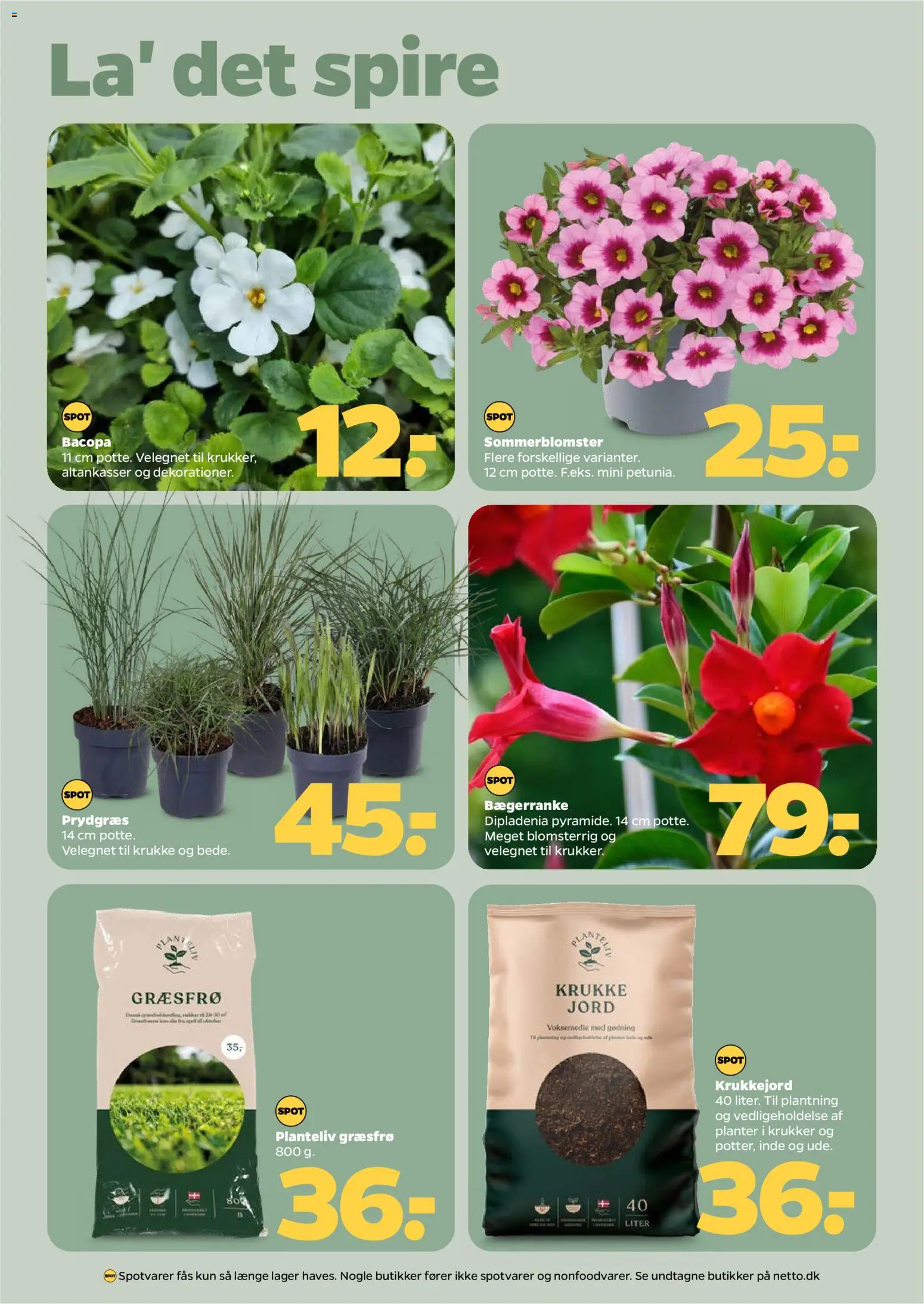 Netto tilbudsavis – gyldig fra 18.04.2026 | Side: 25 | Produkter: Krukke