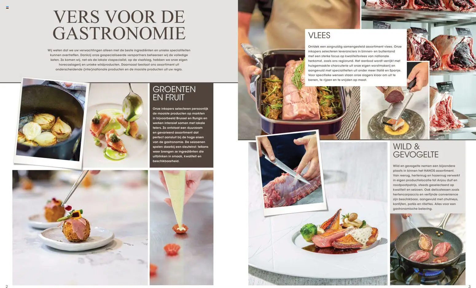 {H1} | Pagina: 2 | Producten: Kisperec, Fruit, Groenten, Citrompótló tabletta