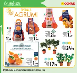 Anteprima del volantino ARANCE NAVEL RIBERELLA, Origine Italia, categoria I, conf. da 2 kg valido a partire dal 14.01.2026 | Pagina: 4