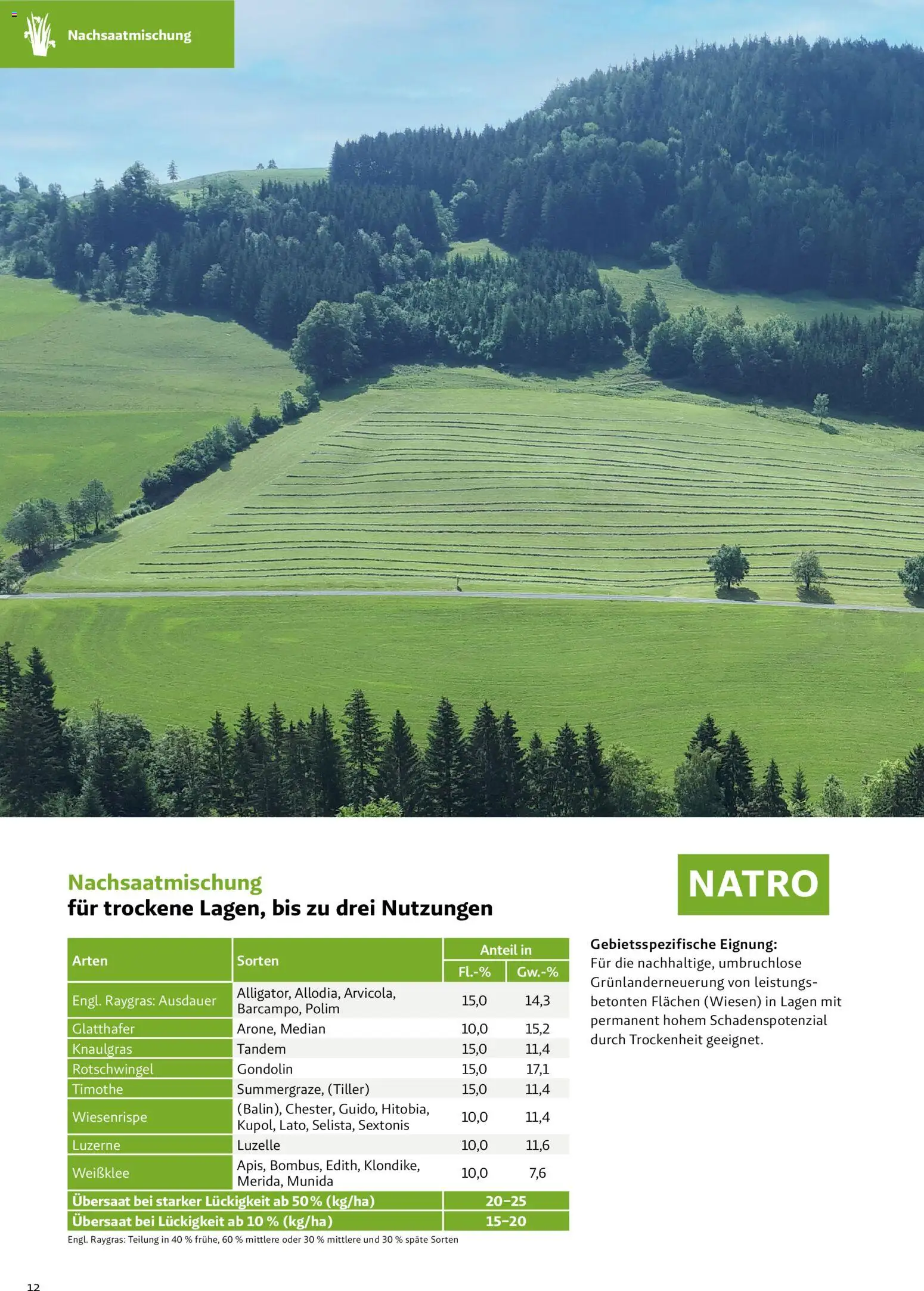 Lagerhaus Grünland  2026 / 2027 / 2028 gültig ab 01.09.2026 | Seite: 12