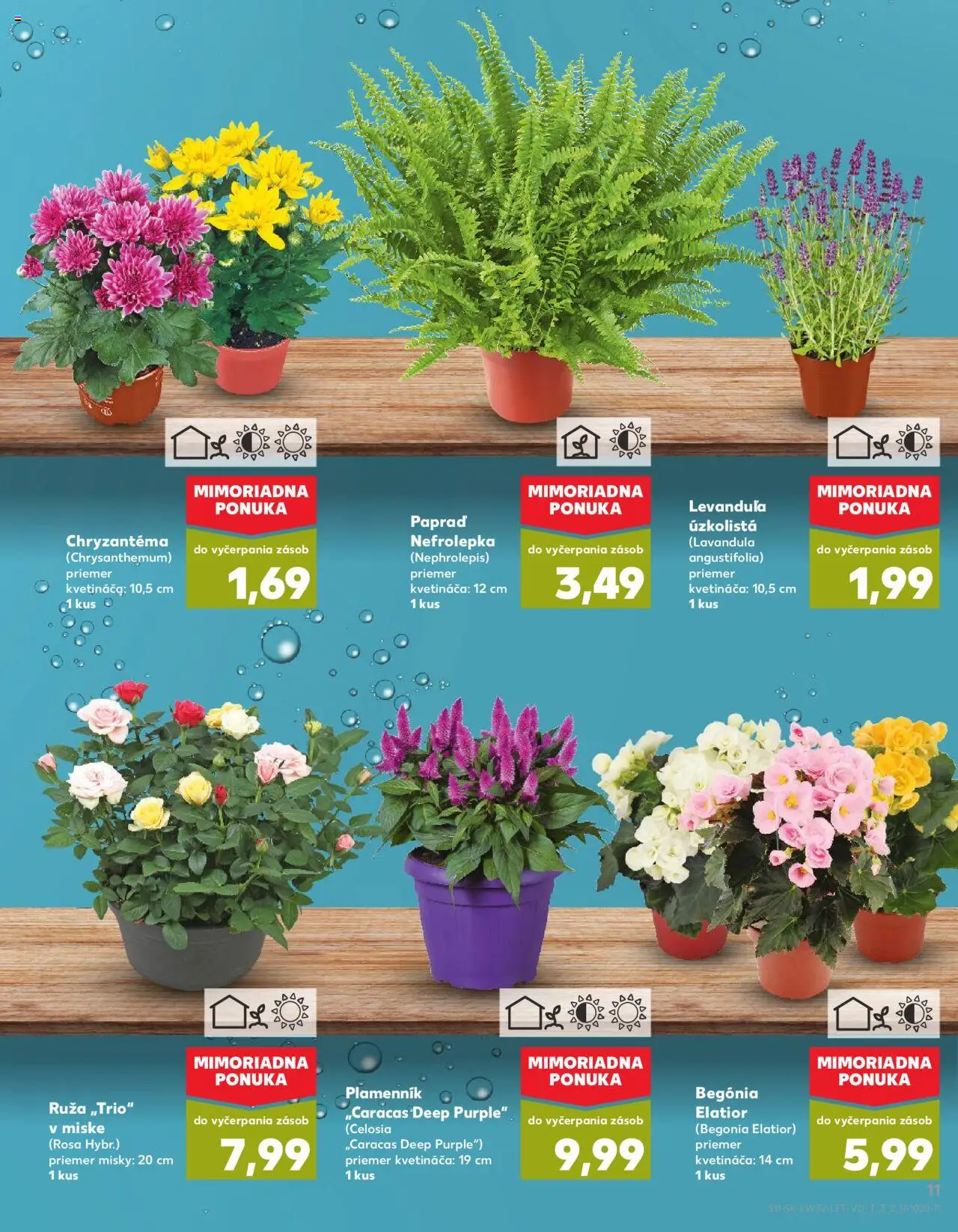 Kaufland SK akciós ujság - amely érvényes a következő dátumtól: 07.08.2025 | Oldal: 11