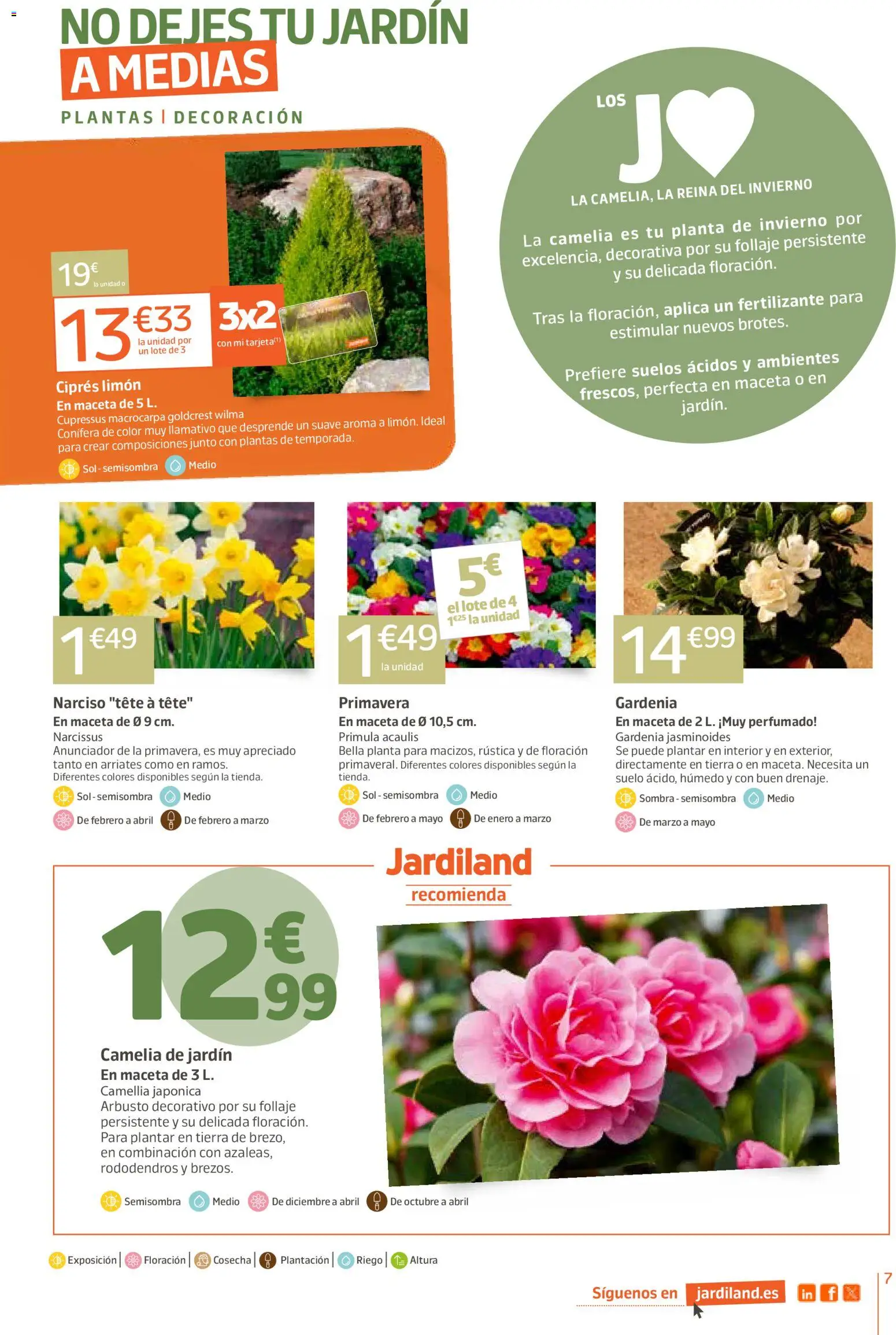Jardiland folleto │ válido desde el 05.02.2026 | Página: 7
