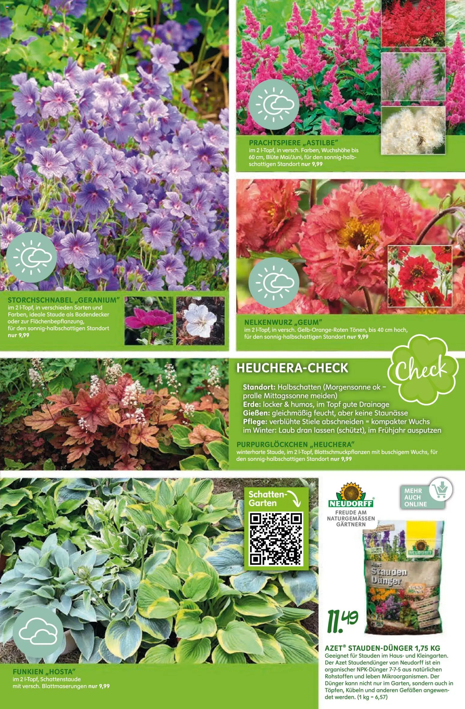 Blumen Risse Prospekt Blumenmarkt – gültig ab 16.04.2026 | Seite: 15