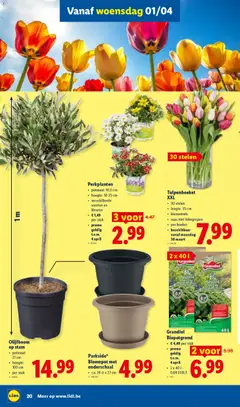 Lidl Folder week 14 - Voorbeeld van een folder van Lidl, geldig van 30.03.2026 | Pagina: 20 | Producten: Vaas, Pot