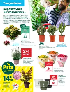  | Page: 4 | Produits: Lavande, Mais