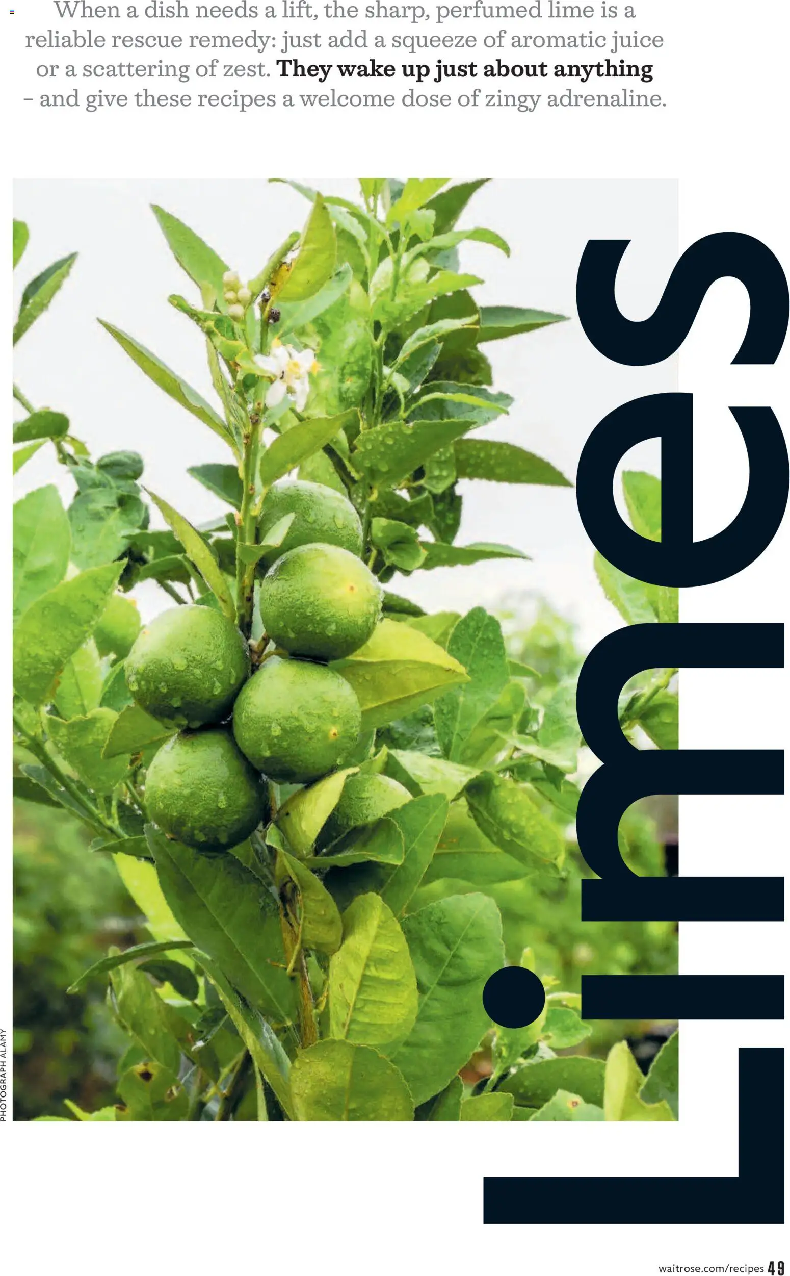 {H1} | Page: 49 | Products: Juice