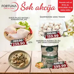 Fortuna Market šok akcija - pregled Fortuna Market kataloga - važi od 01.12.2025
