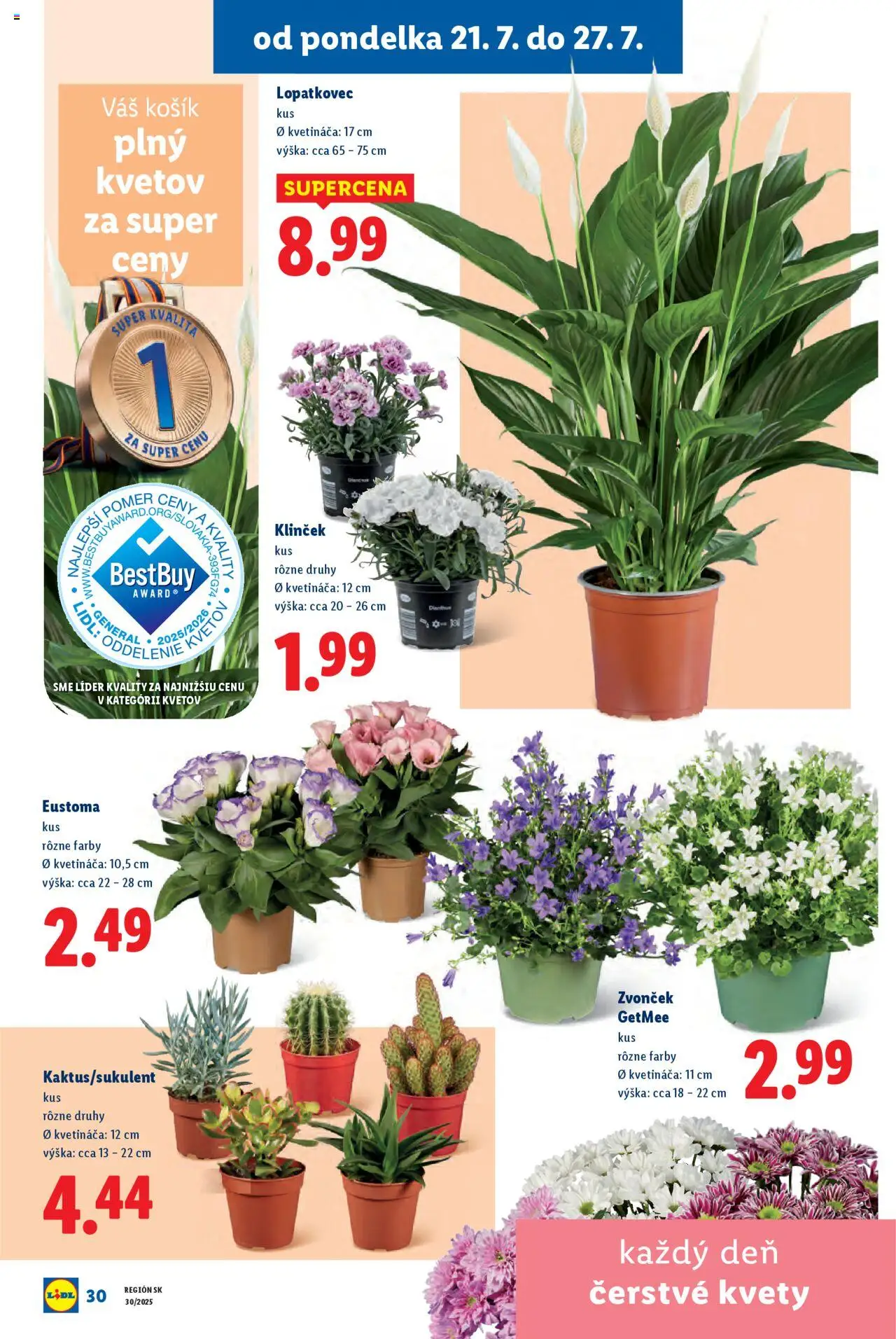 Lidl leták │ platný od 21.07.2025 | Strana: 44 | Produkty: Zvonček, Kvety