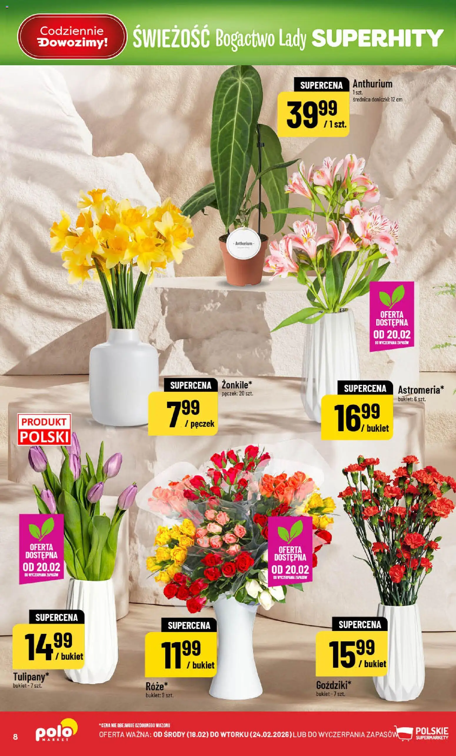 POLOmarket Gazetka od 18.02.2026 | Strona: 8 | Produkty: Doniczki