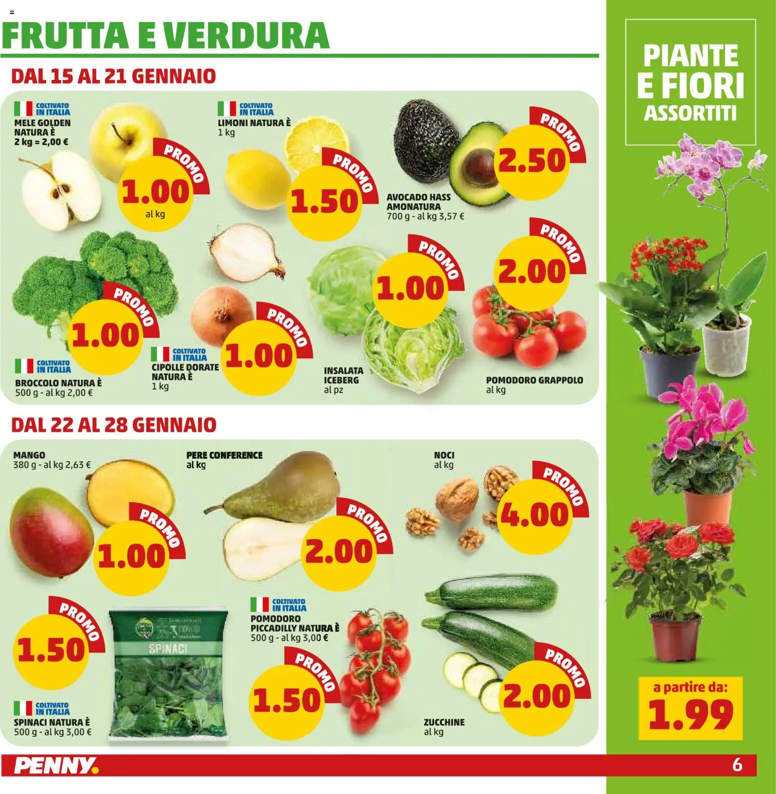 Volantino PENNY del 15.01.2026 | Pagina: 6 | Prodotti: Insalata, Avocado, Frutta, Pomodoro