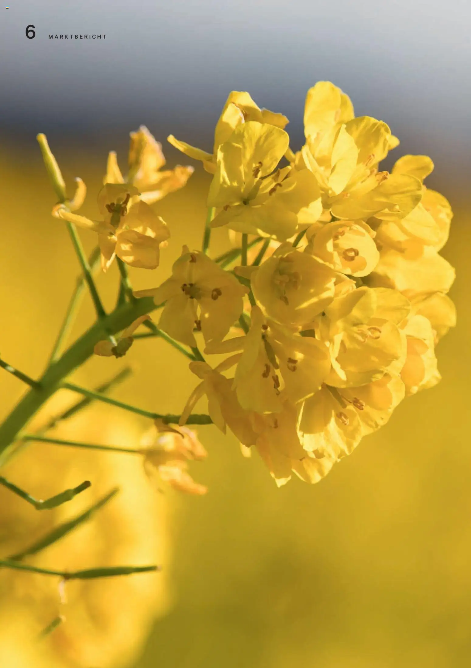 Lagerhaus Unser Land April 2025 gültig ab 01.04.2026 | Seite: 6