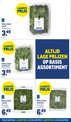 Makro - Folder - Voorbeeld van een folder van Makro, geldig van 25.02.2026 | Pagina: 16 | Producten: Munt, Rucola, Schaal