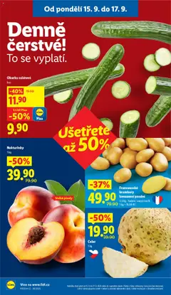 Celer, 1 kg od 15.09.2025 | Strana: 10
