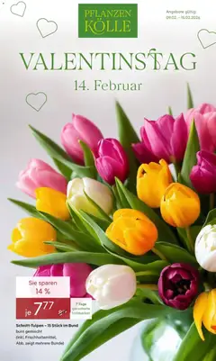 Pflanzen-Kölle - Pflanzen-Kölle: Valentinstag ab 08.02.2026 gültig