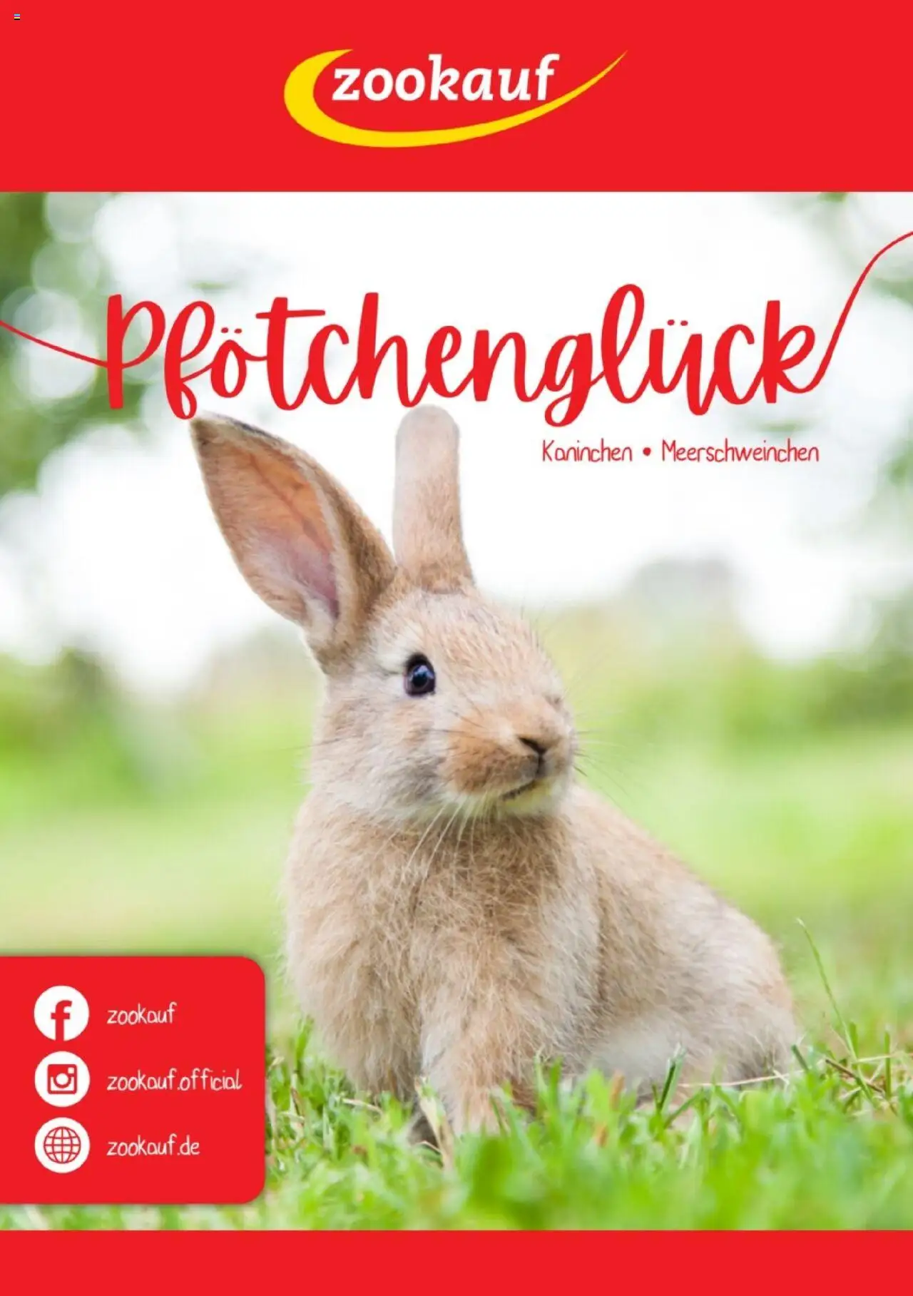 zookauf Kleintier Fibel - gültig ab dem 05.06.2025 | Seite: 1 | Produkte: Kaninchen