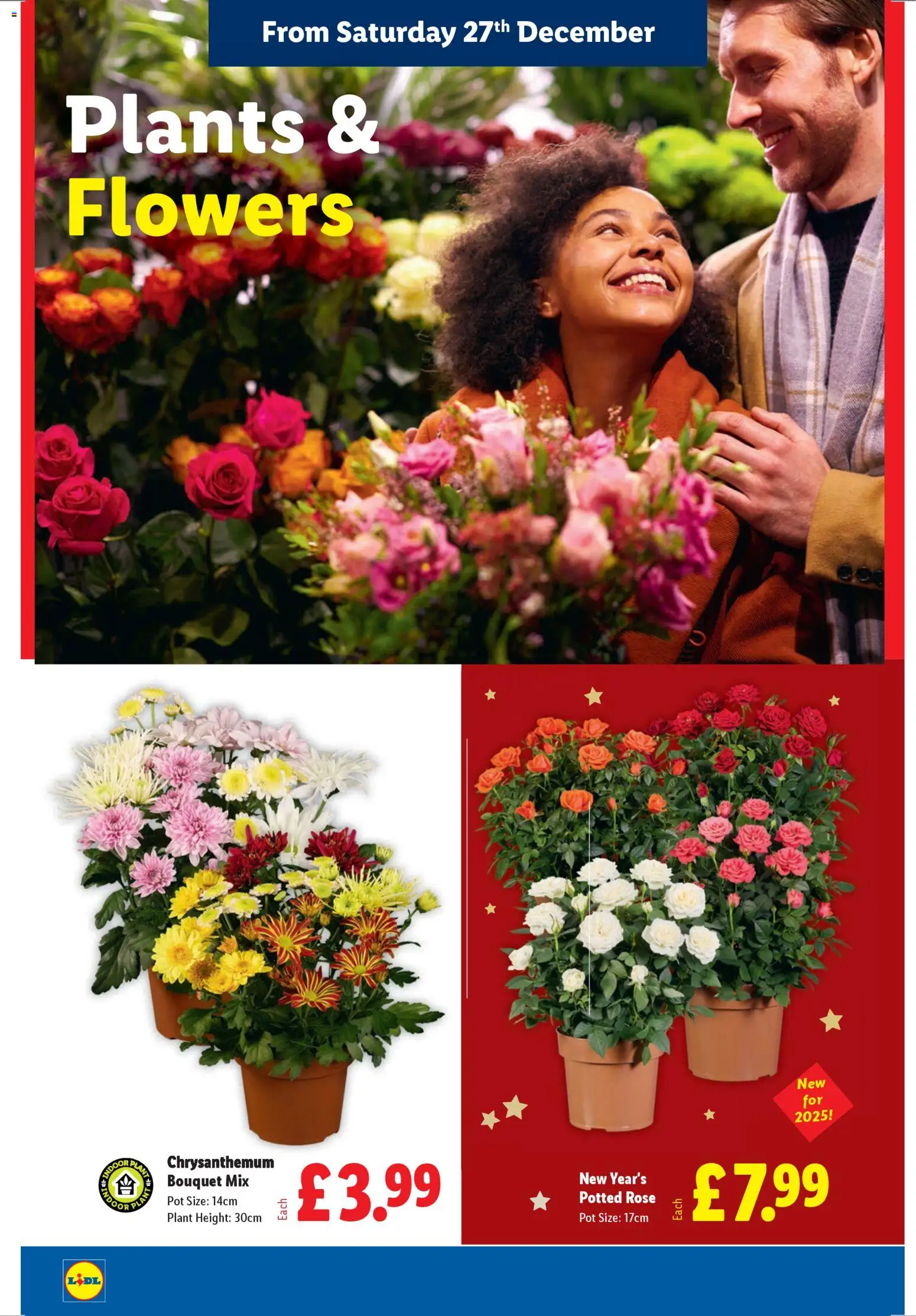 {H1} | Page: 30 | Products: Pot