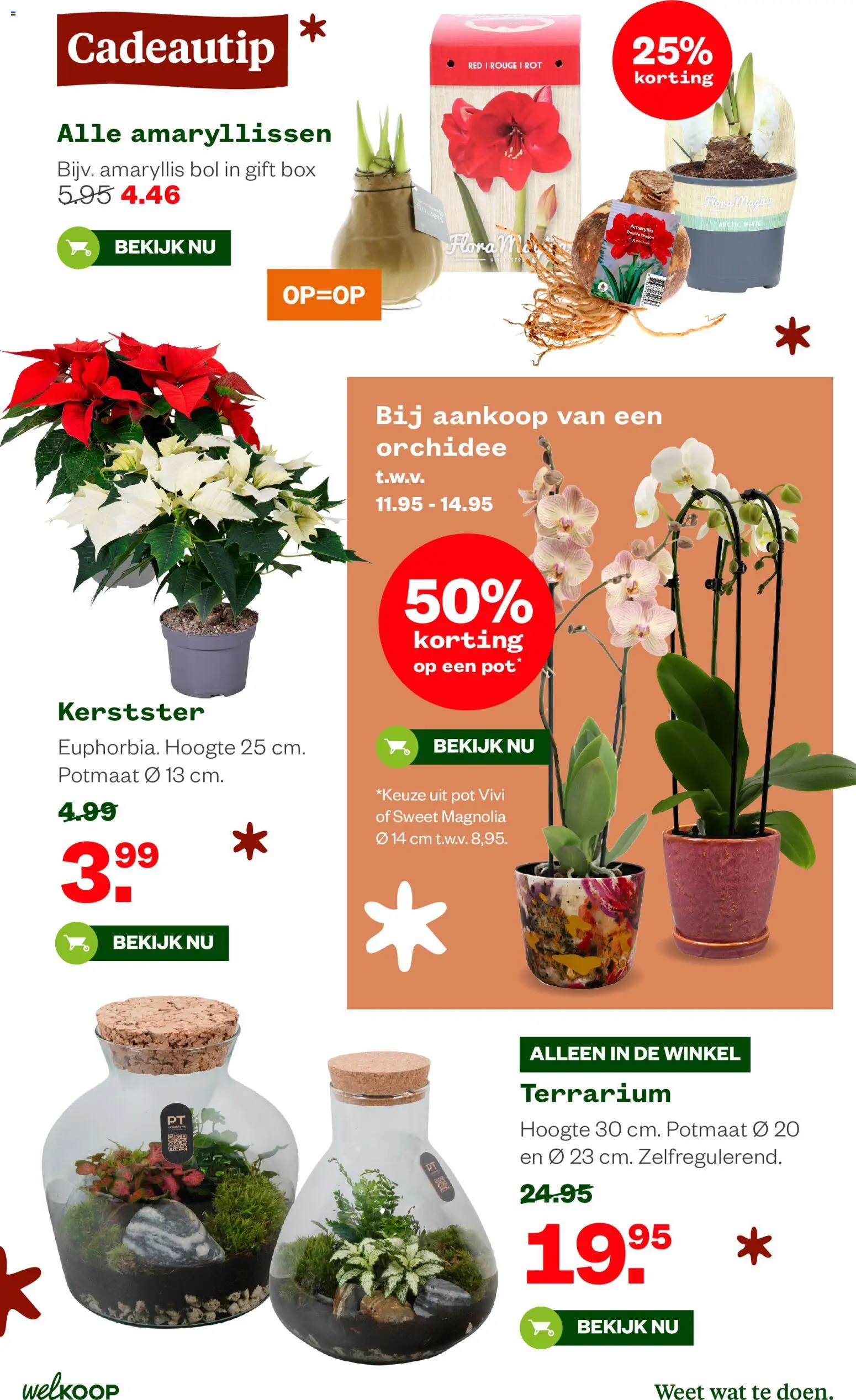 {H1} | Pagina: 8 | Producten: Pot, Box, Bol