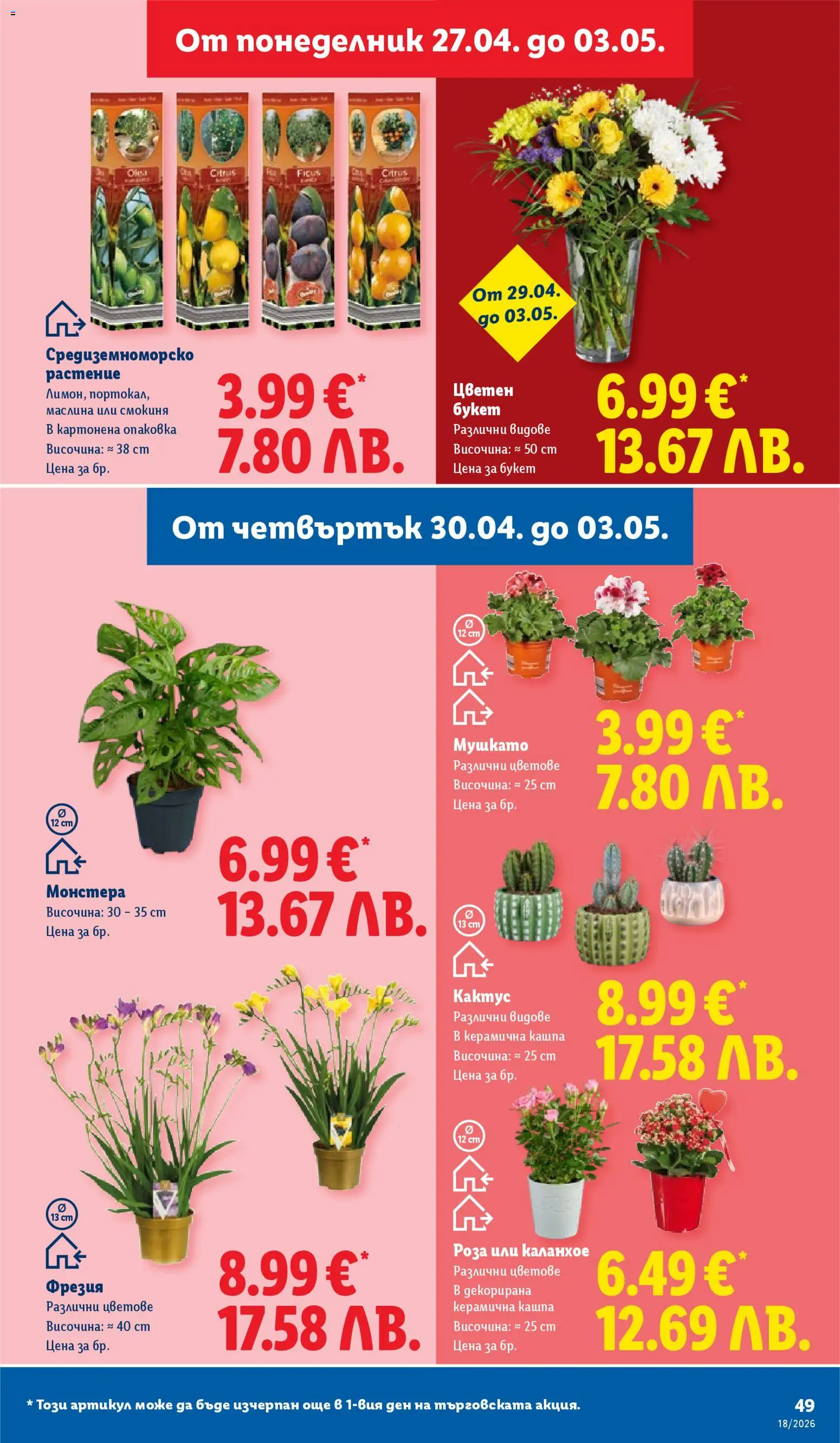 {H1} | Страница: 49 | Продукти: Кашпа, Роза